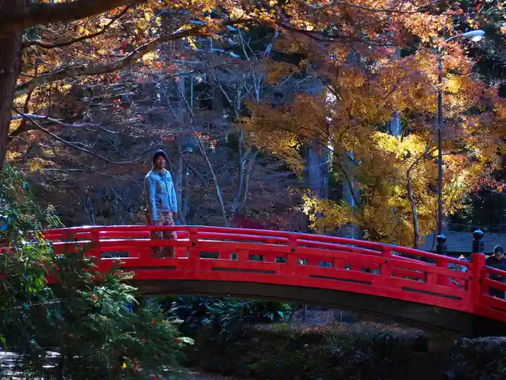 小國神社の庭園