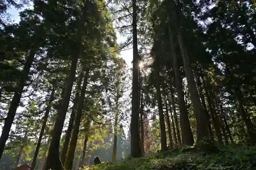 郡殿の池弁財天社(新潟県)