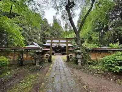 都々古別神社(馬場)の{uncategorized: "未分類", other: "その他", undefined: "問題あり", building: "その他建物", grave: "お墓", sacred_gate: "鳥居", guardian: "狛犬", statue: "像", buddha: "仏像", history: "歴史", nature: "自然", garden: "庭園", animal: "動物", pagoda: "塔", temizu: "手水舎", mountain_gate: "山門・神門", sanctuary: "本殿・本堂", subordinate: "末社・摂社", art: "芸術", scenery: "景色", jizo: "地蔵", ema: "絵馬", goshuin: "御朱印", omikuji: "おみくじ", items: "授与品その他", amulet: "お守り", goshuincho: "御朱印帳", eats: "食事", festival: "お祭り", votive_dance: "神楽", shichigosan: "七五三参", wedding: "結婚式", experience: "体験その他", initially: "初詣", around: "周辺", anti_infection: "感染症対策"}