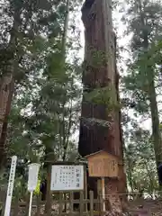 高千穂神社(宮崎県)