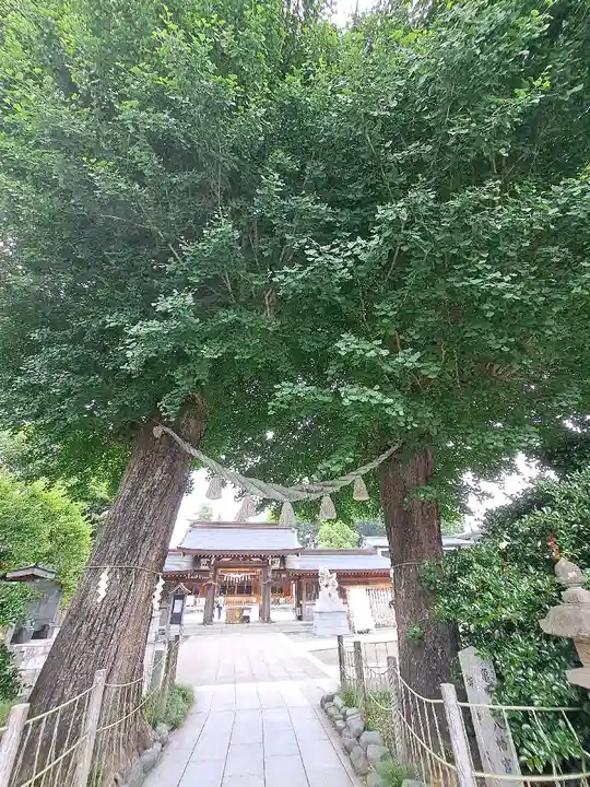 亀ケ池八幡宮(神奈川県)