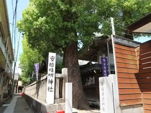 安倍晴明神社（阿倍王子神社境外末社）の自然