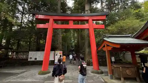 箱根神社(神奈川県)
