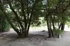 白鳥神社の自然