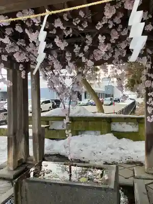 熊野大社の手水舎