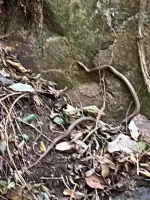 出釈迦寺奥の院 捨身ヶ嶽(香川県)