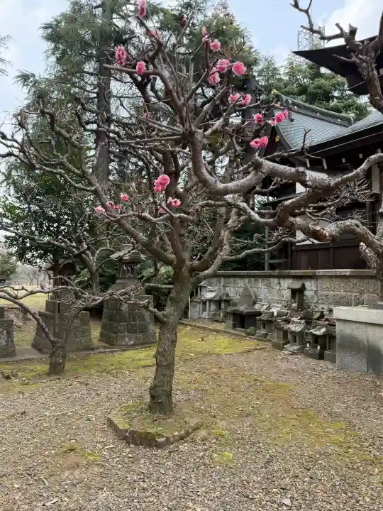水海道天満宮の{uncategorized: "未分類", other: "その他", undefined: "問題あり", building: "その他建物", grave: "お墓", sacred_gate: "鳥居", guardian: "狛犬", statue: "像", buddha: "仏像", history: "歴史", nature: "自然", garden: "庭園", animal: "動物", pagoda: "塔", temizu: "手水舎", mountain_gate: "山門・神門", sanctuary: "本殿・本堂", subordinate: "末社・摂社", art: "芸術", scenery: "景色", jizo: "地蔵", ema: "絵馬", goshuin: "御朱印", omikuji: "おみくじ", items: "授与品その他", amulet: "お守り", goshuincho: "御朱印帳", eats: "食事", festival: "お祭り", votive_dance: "神楽", shichigosan: "七五三参", wedding: "結婚式", experience: "体験その他", initially: "初詣", around: "周辺", anti_infection: "感染症対策"}