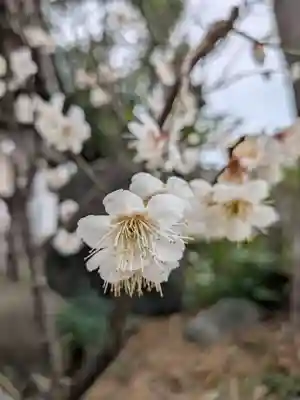 田端神社(東京都)