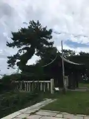 函館護國神社の建物その他