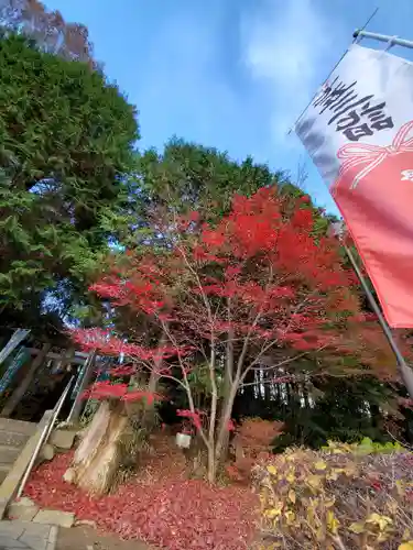 滑川神社 - 仕事と子どもの守り神の自然