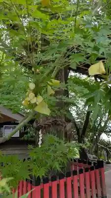 松ヶ崎大黒天 妙圓寺（妙円寺）(京都府)