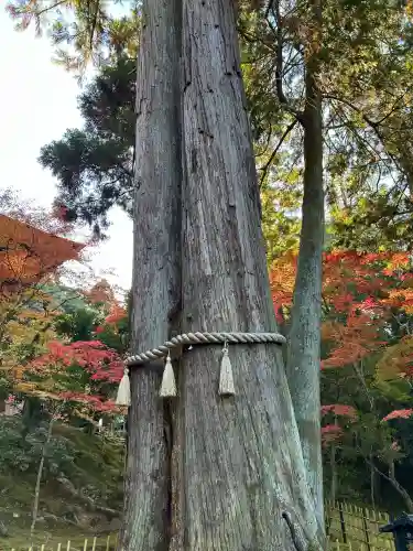 西明寺(滋賀県)