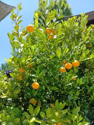 三津厳島神社(愛媛県)