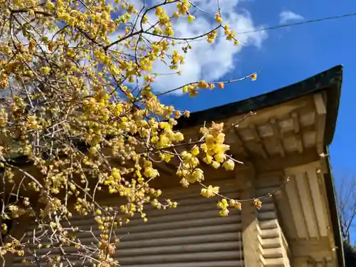 朝日森天満宮(栃木県)