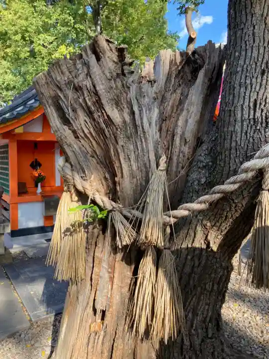 種貸社(住吉大社末社)の自然