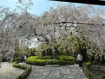 退蔵院(京都府)