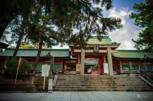 住吉大社(大阪府)