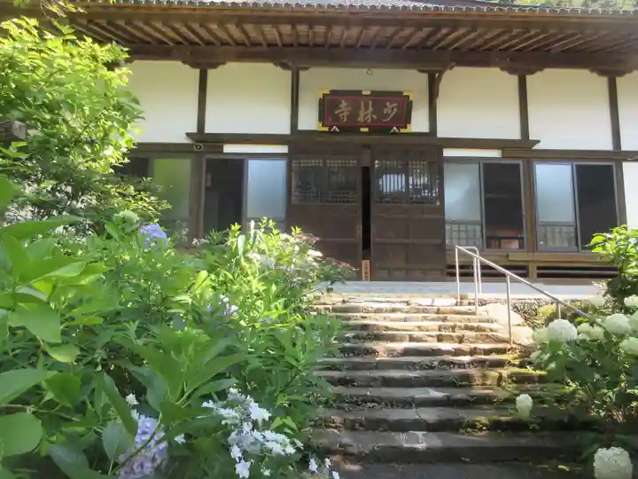 少林寺(埼玉県)