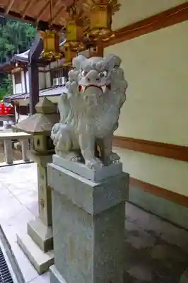 脳天大神龍王院の狛犬