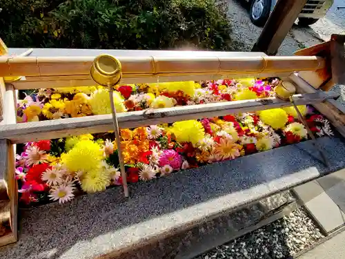 豊景神社の手水