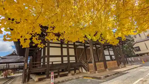 本法寺(京都府)