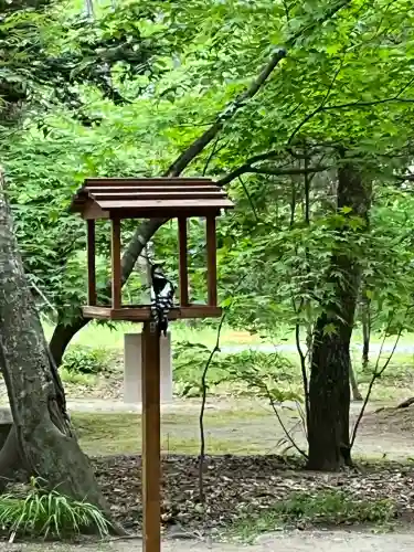 帯廣神社(北海道)