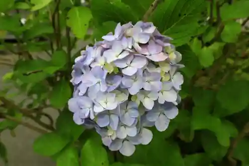 報国寺(神奈川県)
