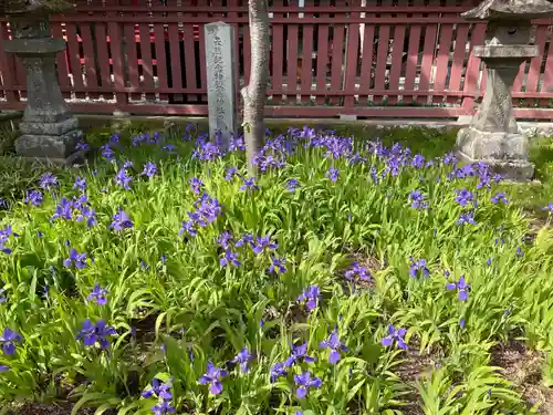 志波彦神社・鹽竈神社(宮城県)
