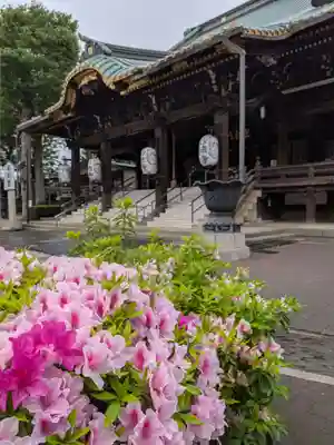妙法寺(東京都)