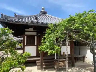 道明寺の{uncategorized: "未分類", other: "その他", undefined: "問題あり", building: "その他建物", grave: "お墓", sacred_gate: "鳥居", guardian: "狛犬", statue: "像", buddha: "仏像", history: "歴史", nature: "自然", garden: "庭園", animal: "動物", pagoda: "塔", temizu: "手水舎", mountain_gate: "山門・神門", sanctuary: "本殿・本堂", subordinate: "末社・摂社", art: "芸術", scenery: "景色", jizo: "地蔵", ema: "絵馬", goshuin: "御朱印", omikuji: "おみくじ", items: "授与品その他", amulet: "お守り", goshuincho: "御朱印帳", eats: "食事", festival: "お祭り", votive_dance: "神楽", shichigosan: "七五三参", wedding: "結婚式", experience: "体験その他", initially: "初詣", around: "周辺", anti_infection: "感染症対策"}