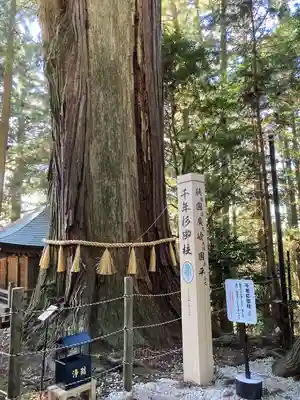 鷲子山上神社(栃木県)