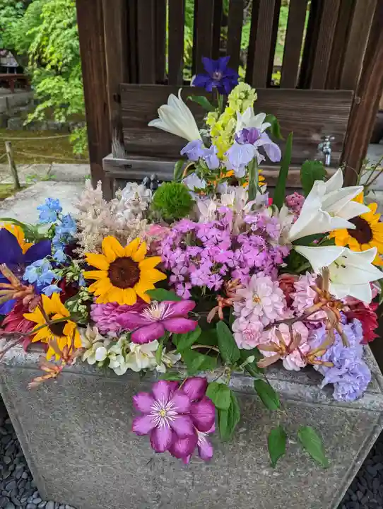 勝林寺(京都府)