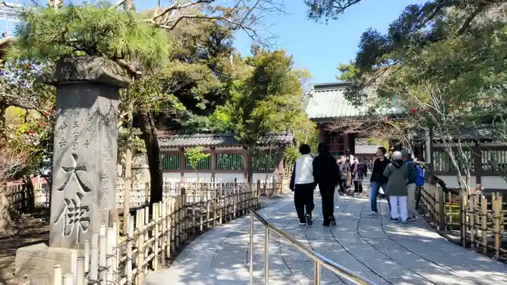 高徳院の庭園