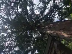 宇那禰神社の自然