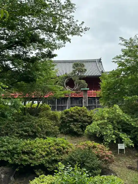 清水観音堂(東京都)