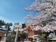 阿部野神社(大阪府)