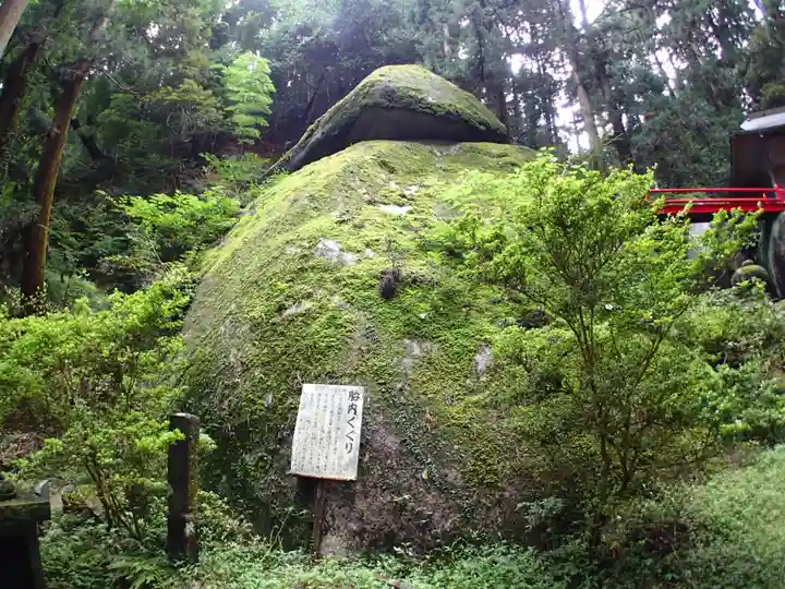 名草厳島神社の自然