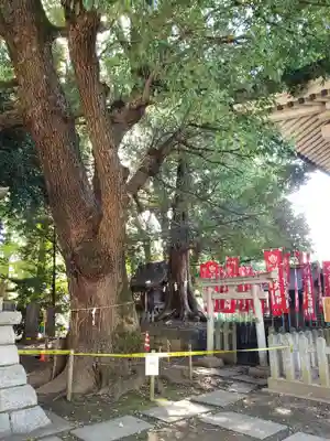 諏訪神社(東京都)