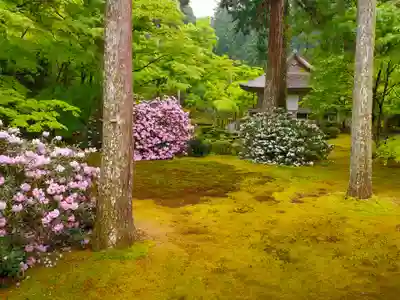 三千院門跡(京都府)