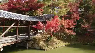 高台寺(高台寿聖禅寺・高臺寺)(京都府)