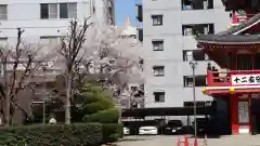 大須観音 （北野山真福寺宝生院）の建物その他