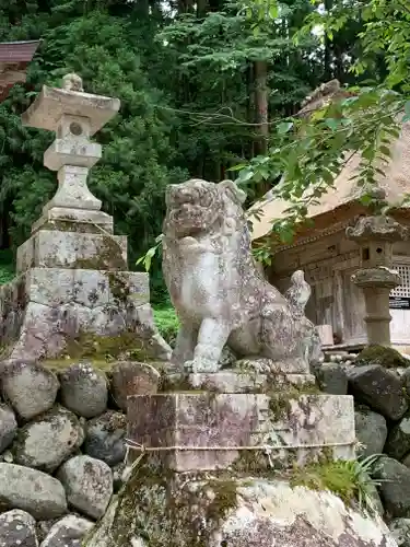 白川八幡神社の狛犬