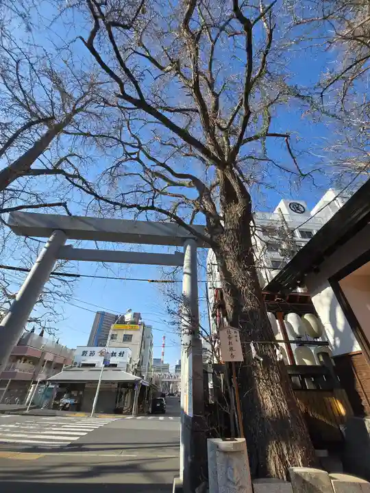波除神社(波除稲荷神社)(東京都)