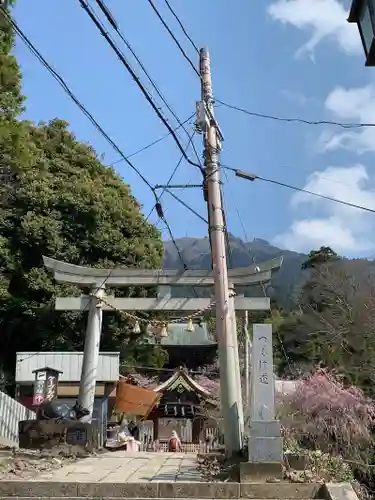 筑波山神社の鳥居