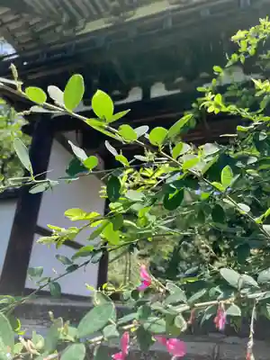 長岳寺の山門・神門