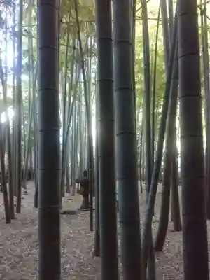 報国寺(神奈川県)