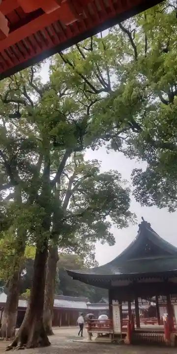 武蔵一宮氷川神社(埼玉県)
