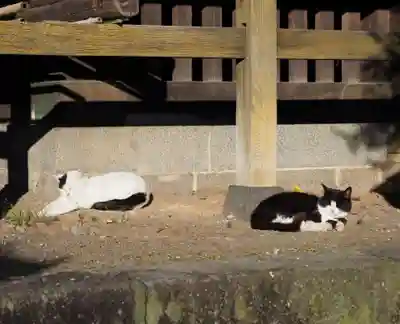 今市報徳二宮神社(栃木県)