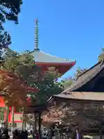 金剛峰寺大伽藍金堂(和歌山県)