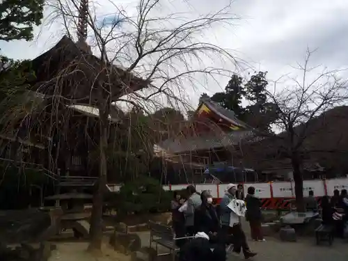 楽法寺（雨引観音）の景色